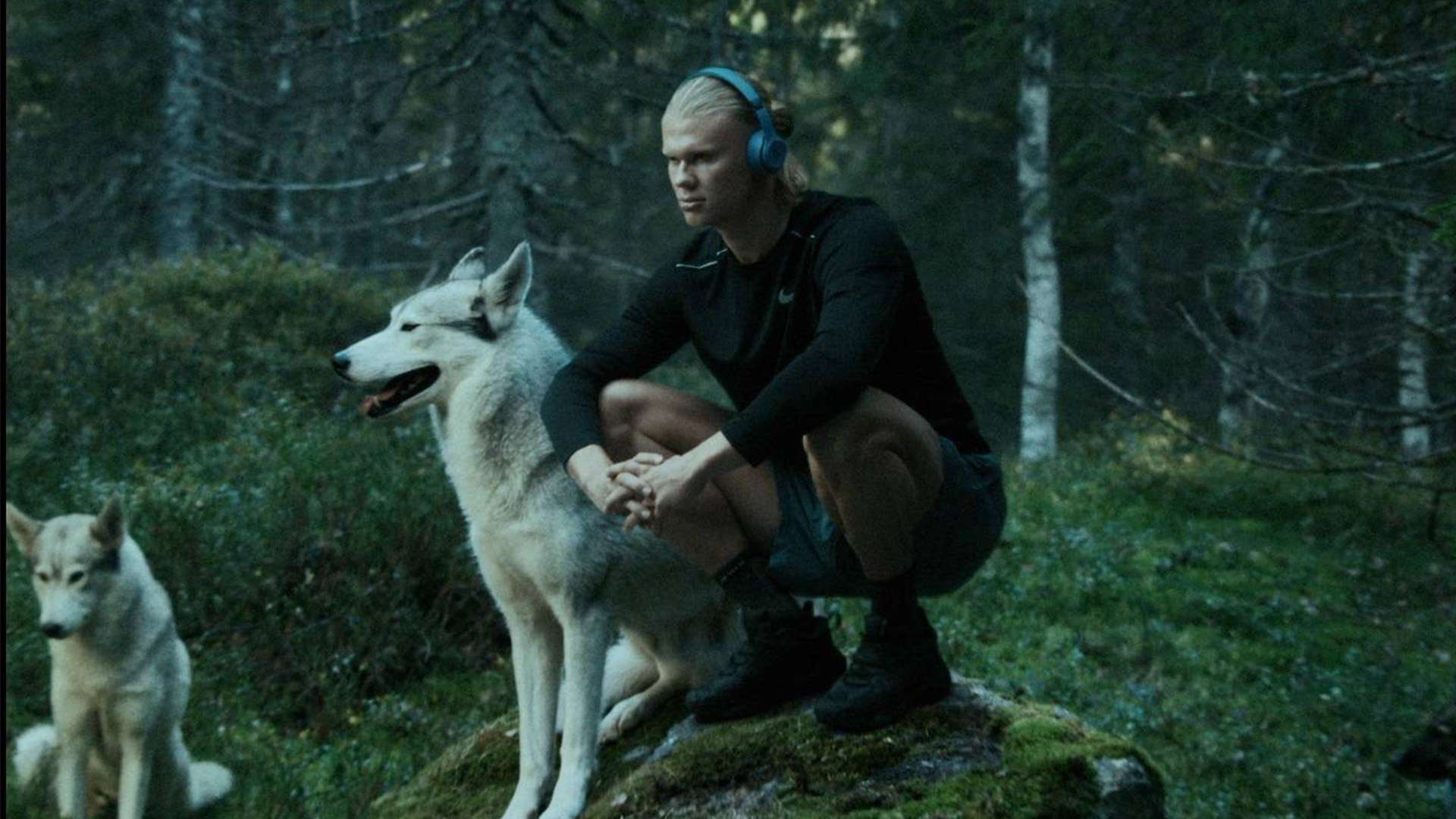 响降至最低 响降至最低